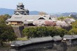 桜咲く熊本城全景