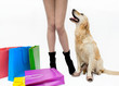 Shopping with dog