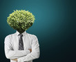 Photo: Ideas Head Trees Ideas Head Trees