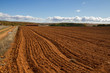 paisaje de campo