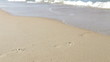 Close Up Of Man Walking Along Beach And Into Sea