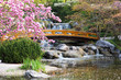 Foto: Japanischer Garten im Frühling Japanischer Garten im Frühling