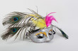 Carnival mask with feathers of a peacock