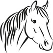 horse with long mane
