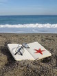 Open book and shell decoration