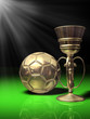 Fussball Pokal Gr