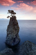 L'arbre sur le rocher en Italie