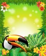 Toucan on Green Jungle Background-Tucano in Sfondo Giungla