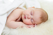 newborn baby girl sleeping on fur bed