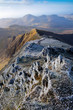 Views from Snowdon