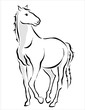 caballo blanco