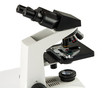 microscope isolated