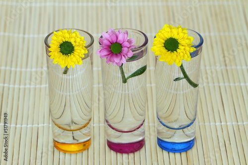 Photo: Three Santini flowers in little tinted glasses on bamboo mat Three Santini flowers in little tinted glasses on bamboo mat