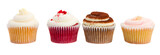 row of  cupcakes on white