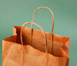 paper bag on a green background