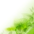 Abstract Floral Background