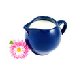 milk jug with milk and flower