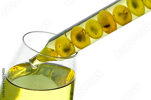 Photo: DEGUSTATION DEGUSTATION