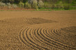 Plowed Field