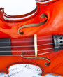 Violin