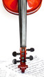 Violin