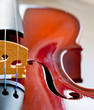 Violin