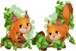 squirrel and nutlets