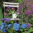 chaise de jardin en bois dans la végétation