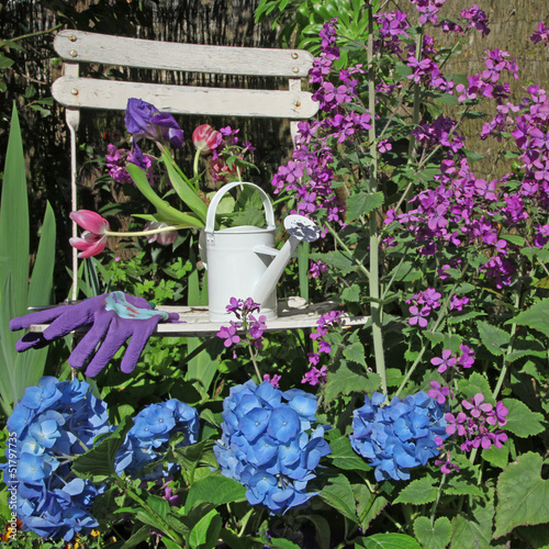 Photo: chaise de jardin en bois dans la végétation chaise de jardin en bois dans la végétation
