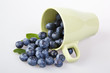 blueberries spilling from a cup