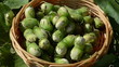 closeup hazel nutwood nuts drop into wicker wooden dish