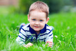Photo: happy baby boy lying on green grass in park happy baby boy lying on green grass in park