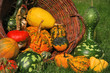 Colorful pumpkins