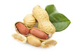Peanuts close up on the white background