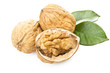 Walnut close up on the white  background