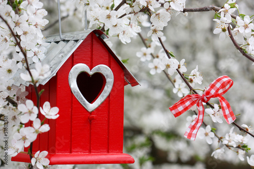 Photo: Zum Frühling in Liebe Zum Frühling in Liebe