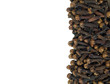 cloves isolate on  white background