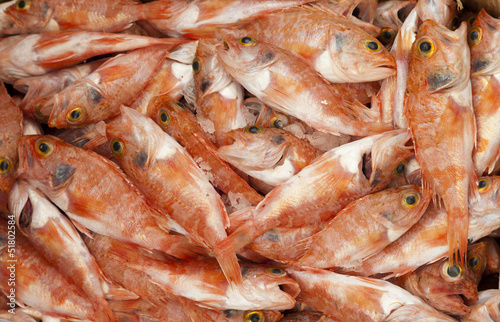 Photo: Salmonetes frescos. Salmonetes frescos.