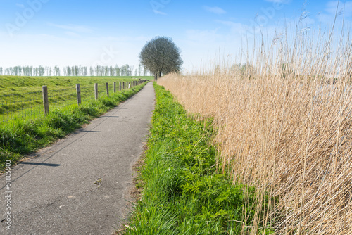 Photo: Narrow path in a rural area in the spring season Narrow path in a rural area in the spring season