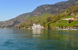 Foto: lac des quatres.cantons lac des quatres.cantons