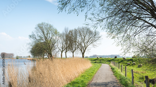 Photo: Dutch rural landscape in springtime Dutch rural landscape in springtime