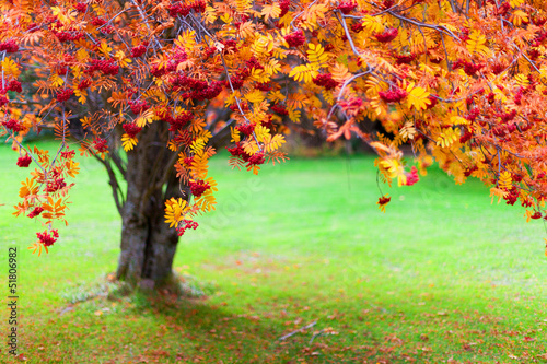 Photo: Colors of autumn Colors of autumn