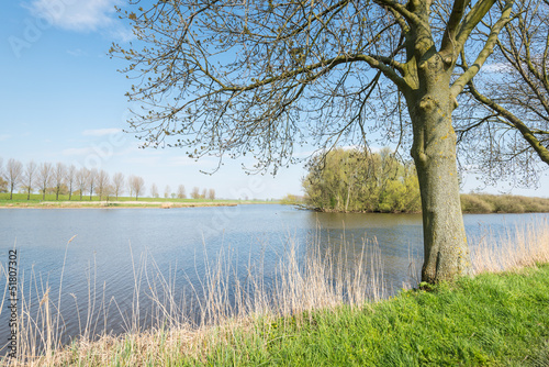 Photo: Budding trees along a lake in springtime Budding trees along a lake in springtime