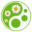 Eco labels. Green symbol concept using Yin Yang in a leaf design
