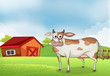 A cow in the farm with a wooden house at the back