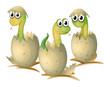 Three Newly Cracked Eggs Of A ...