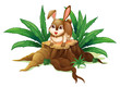 A rabbit above the wood