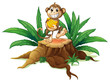 A trunk with a monkey holding bananas