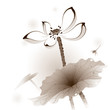 Oriental style Lotus