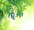 A special paper with green leaves